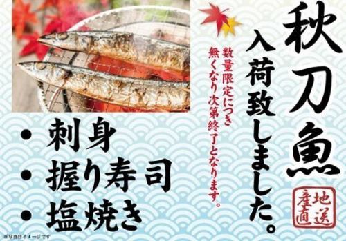 【さんま】入荷しました
