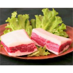 Domestically-produced horsemeat sashimi Futaego