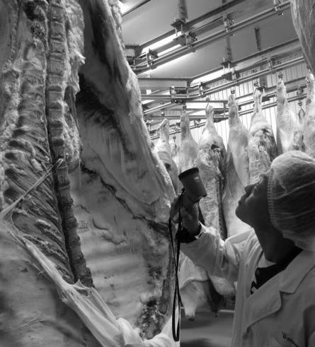 Our skilled craftsmen check each and every cow, and we offer A5 Hida beef at our restaurant every day at a reasonable price.
