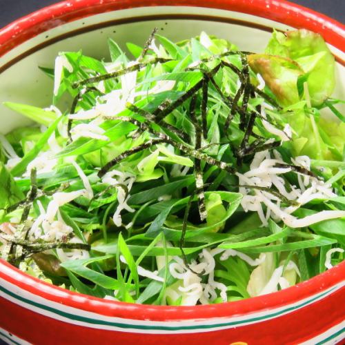 Kujo green onion and fried whitebait salad