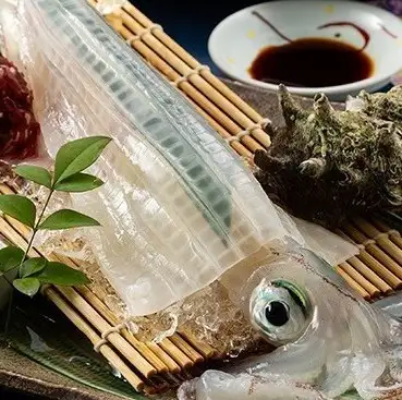 活ヤリイカ姿造りをぜひ