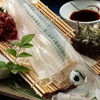 活ヤリイカ姿造り《数量限定/売り切れ御免》