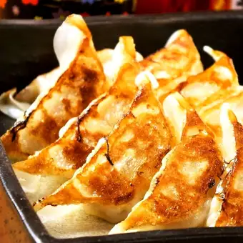 定番焼餃子 5粒