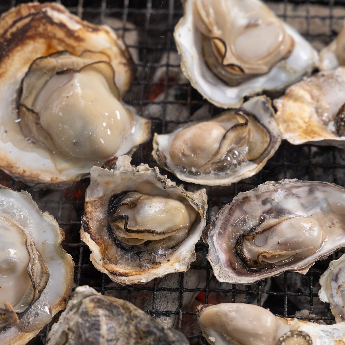 新鮮な牡蠣などが食べれます
