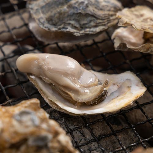 天然牡蠣