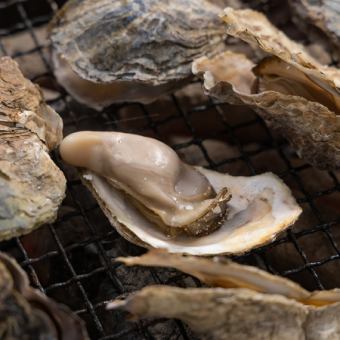 岩牡蠣刺身