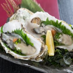 Oysters (Ponzu)