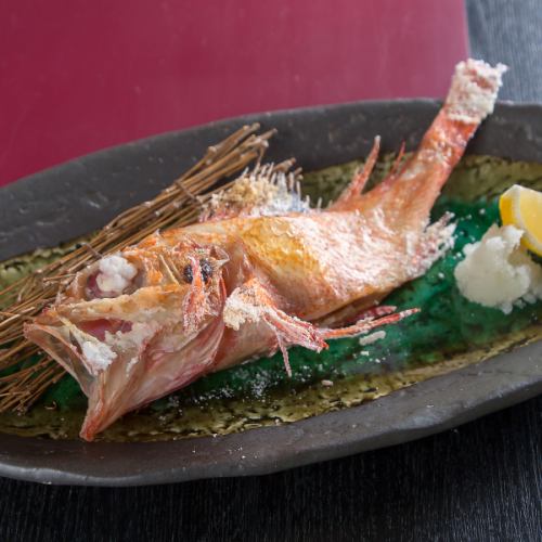 キンキ塩焼or煮付