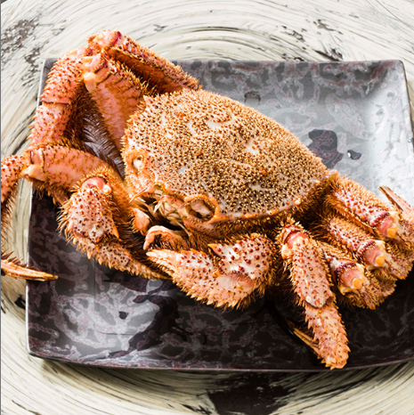 【限时优惠，11月至次年3月】松叶蟹套餐（共10道菜）92,400日元（含税）