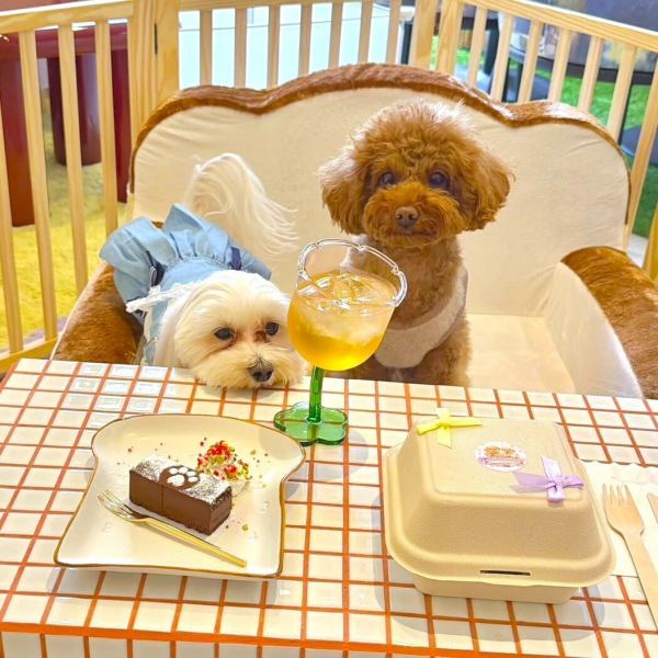 カラフルでかわいいが詰まった空間！どの席に座っても「主役級」の映える写真が撮れる、遊び心満載の店内です♪少人数だからこそ、わんちゃんと落ち着いて過ごせるのも魅力★ポップなインテリアに囲まれて、大切な仲間や愛犬と特別なティータイムを。貸切も大歓迎です◎人数（わんちゃんも）はご相談ください！
