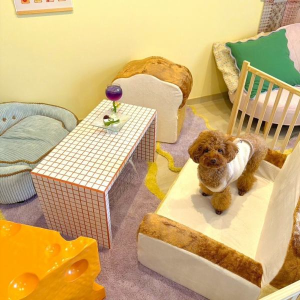 愛犬と一緒にお食事を楽しめる、おしゃれなテーブル席をご用意♪特別な時間を過ごせるよう、どの席も可愛いデザインでまとめられています◎愛犬と過ごせるため、ペット用の小物も完備。落ち着いた雰囲気ながら、随所に遊び心を感じる装飾があり、写真撮影も楽しめます★