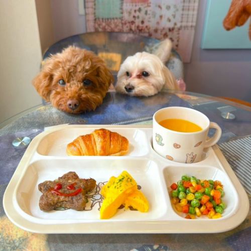 愛犬と過ごす、至福の時間