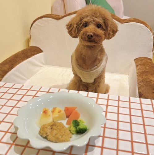 二人で寛ぐ可愛いカフェ席