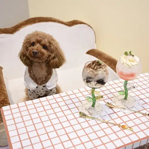 愛犬と過ごす、至福の時間