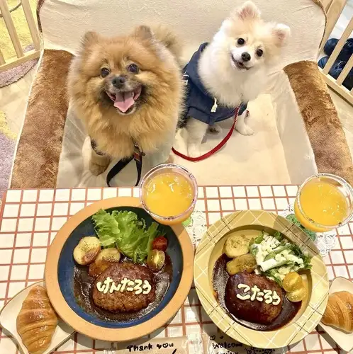 SNS映えするおしゃれな盛り付けを追求