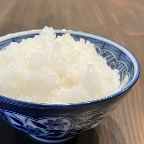 美味しい白米と海鮮
