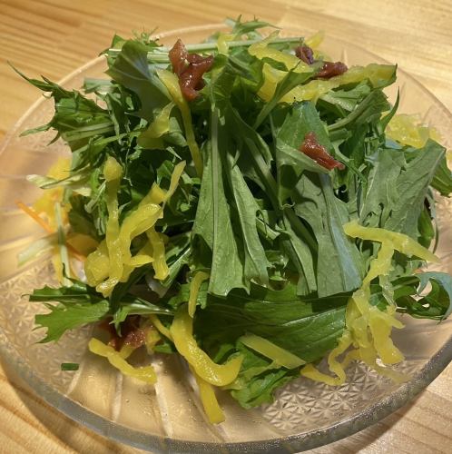 Mizuna and Plum Salad