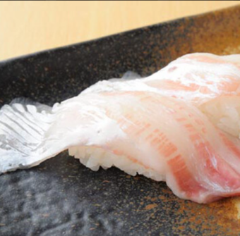 sea bream