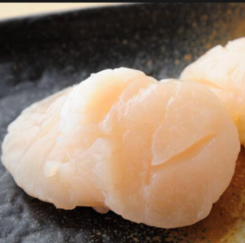 Scallop