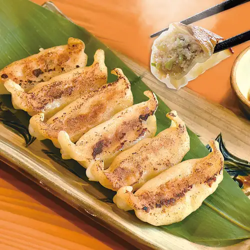 アグー餃子