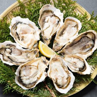 ◎平日3時間週末2.5時間飲み放題付き8000⇒7000税込◎贅沢歓送迎会【生牡蠣/福島牛等全14品】