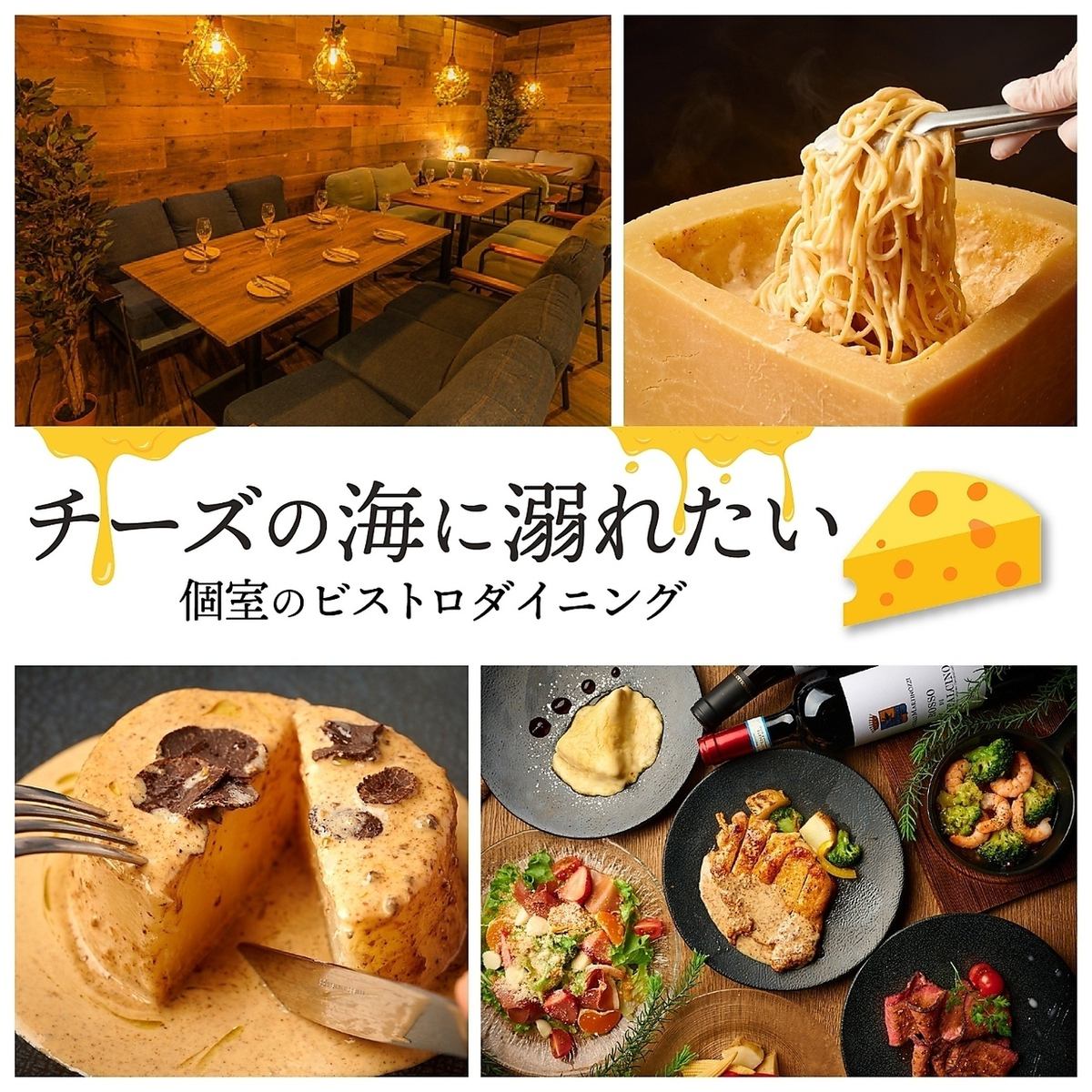 様々なチーズが味わえるチーズ料理専門店!!個室完備で誕生日×女子会に◎