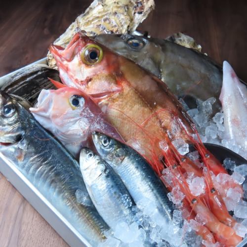 新鮮な食材を仕入れております！