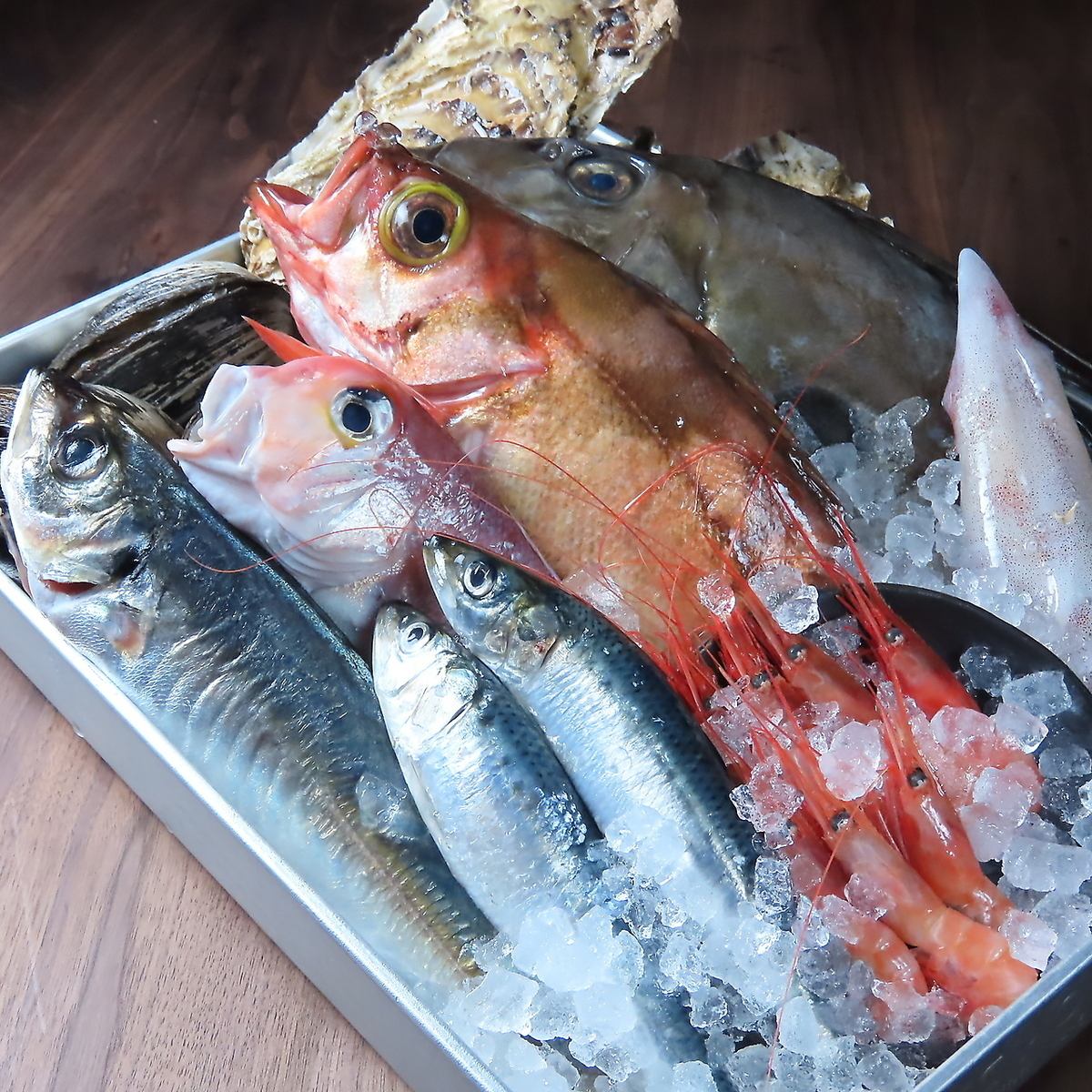 おいしいくて新鮮なお魚をご用意してお待ちしております！