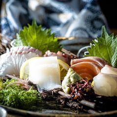Assortment of 4 Kinds of Sashimi