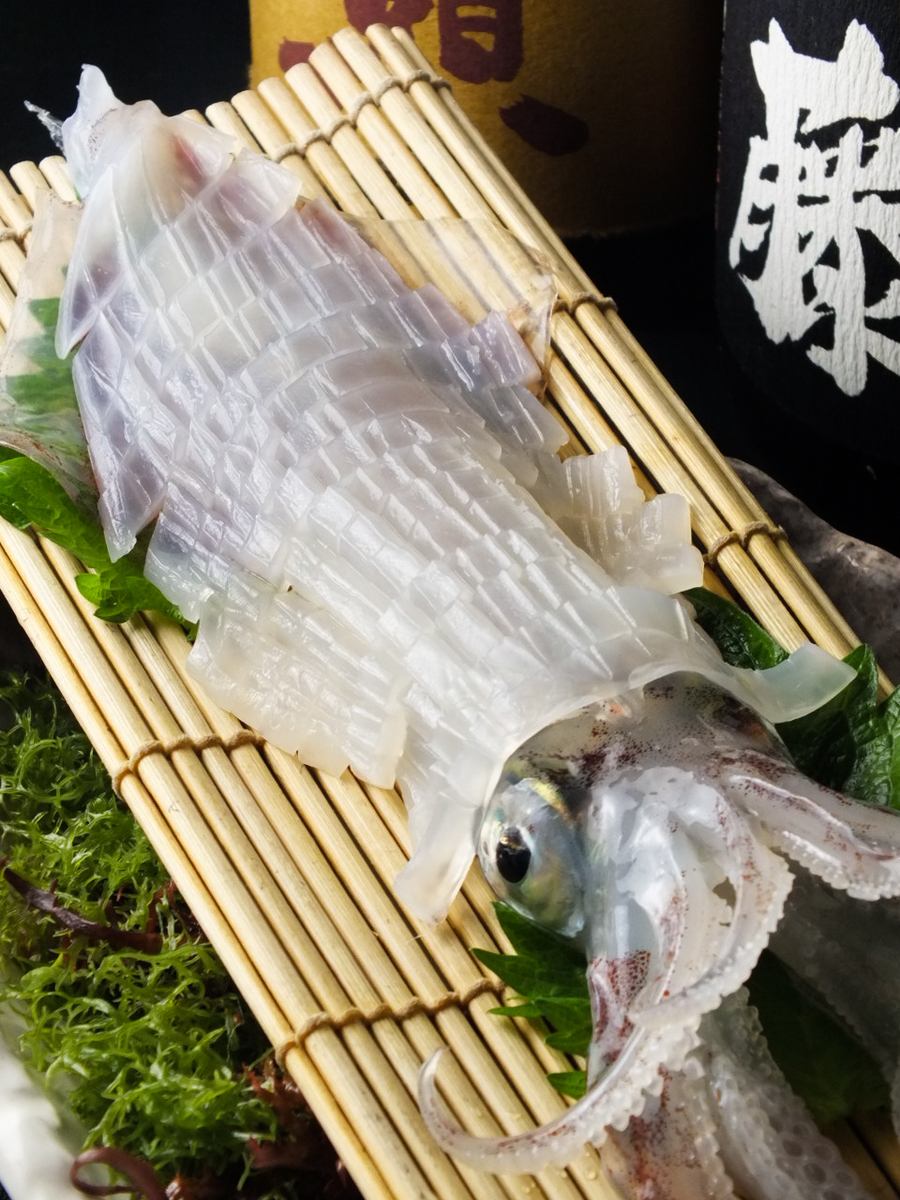 [Specialty ♪ Yobuko's spear squid] [All-you-can-drink] course available! Perfect for entertaining and dining ◎