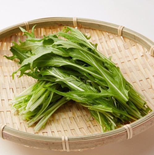 Crisp mizuna (potherb mustard greens)