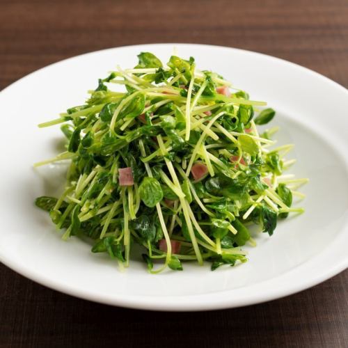 Stir-fried bean seedlings