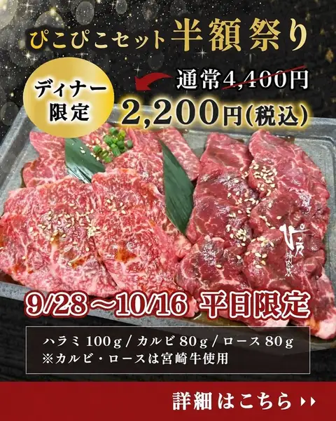 【9/28~10/16】平日ディナー限定!半額祭り☆