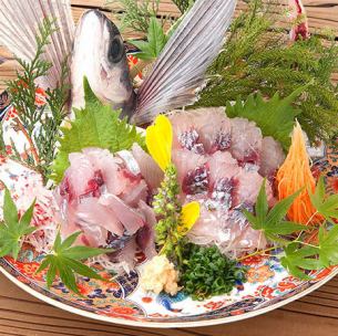 飛魚 姿造り