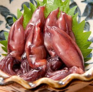 海盐腌制萤火虫鱿鱼