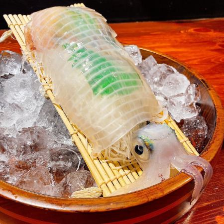 Yobuko's specialty [Swimming squid] The fact that it is so beautiful that it is transparent is proof of its outstanding freshness.