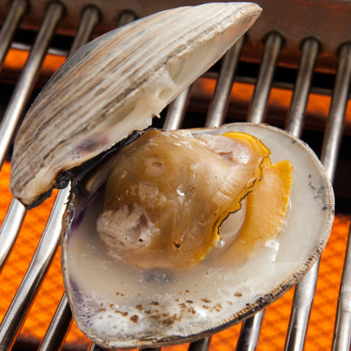 Grilled white clams (large)