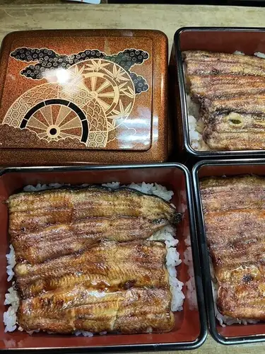 Premium Unaju (eel rice bowl)