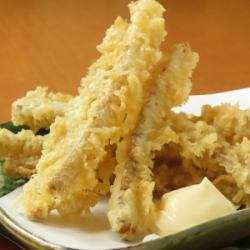 朝次郎風 ごぼう天