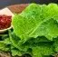 Lettuce leaves
