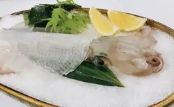 Live squid sashimi