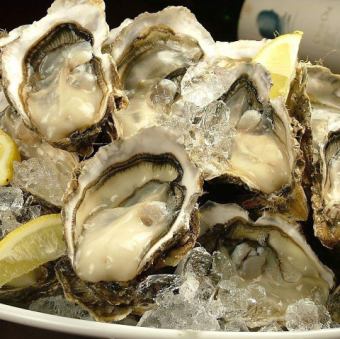 Raw oysters