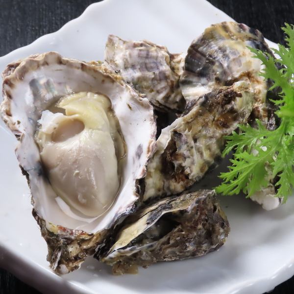 広島名物!ぷりっぷりの牡蠣