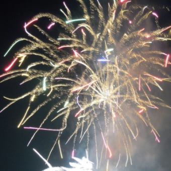 8月11日（月・休日）《屋形船で観る【江東区花火大会】》30名様から