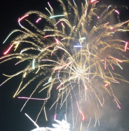 8月11日(月・休日)《屋形船で観る【江東区花火大会】》30名様から