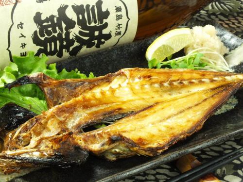Extra large horse mackerel dried overnight from Oshima, Yamaguchi Prefecture Extra large