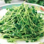 Stir-fried bean seedlings