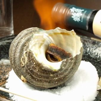 Grilled turban shell