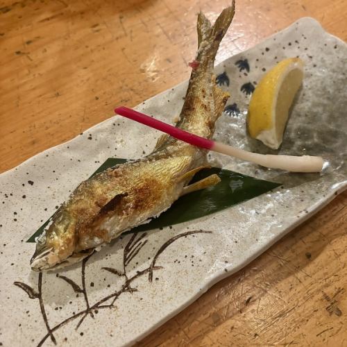 Grilled salted sweetfish