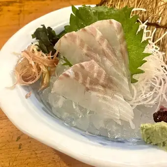 瀬戸内海産 スズキの刺身